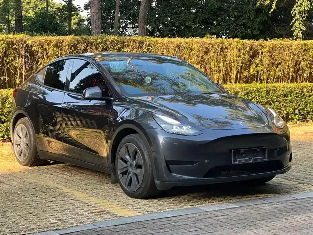 Tesla Model Y — фото 8