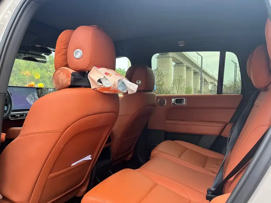 Li Auto Li L6 2024 из CN, фото 4
