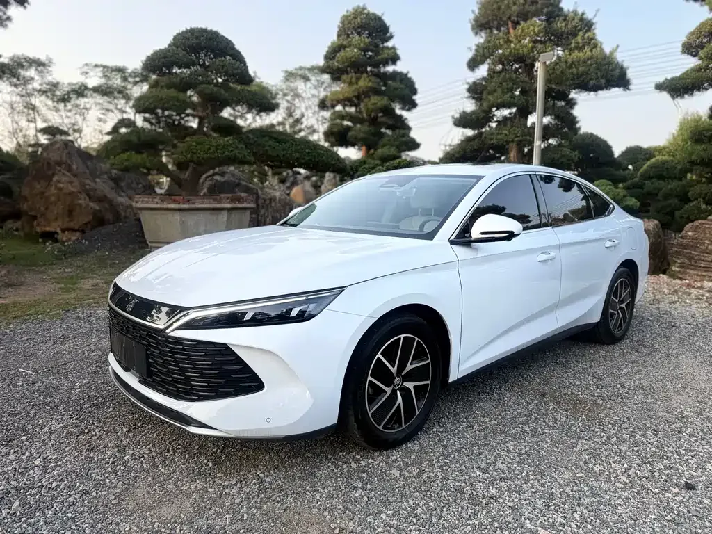 BYD Qin L — фото 1