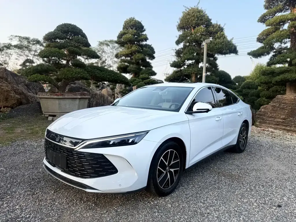 BYD Qin L — фото 3
