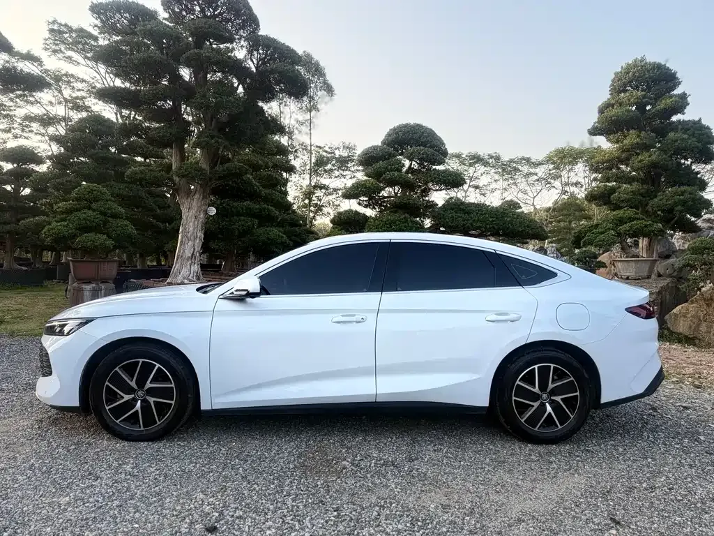 BYD Qin L — фото 7