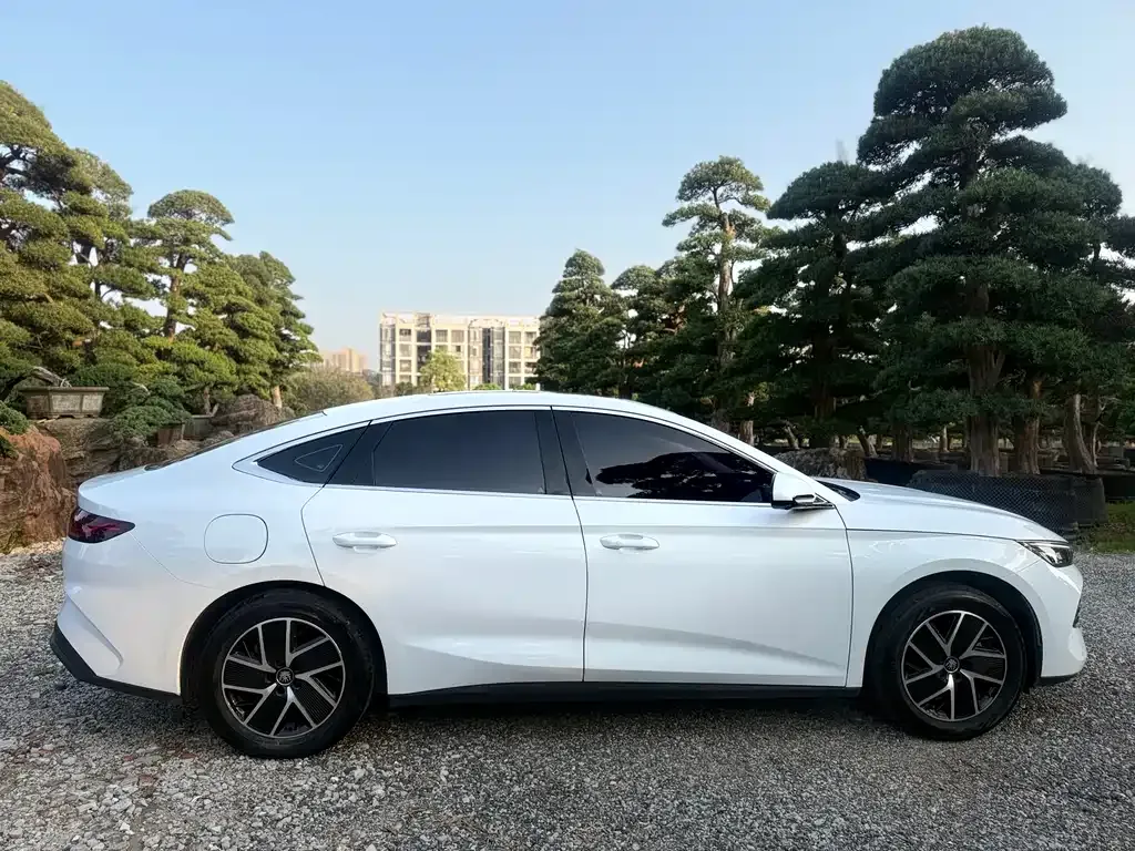 BYD Qin L — фото 6