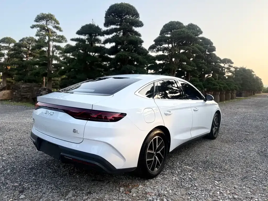 BYD Qin L — фото 4