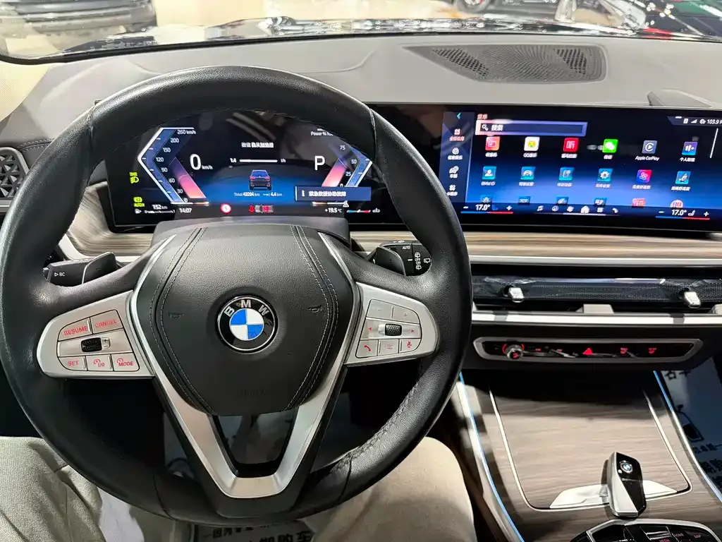 BMW X7 2023 из CN, фото 8