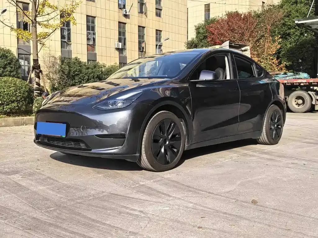 Tesla Model Y — фото 1