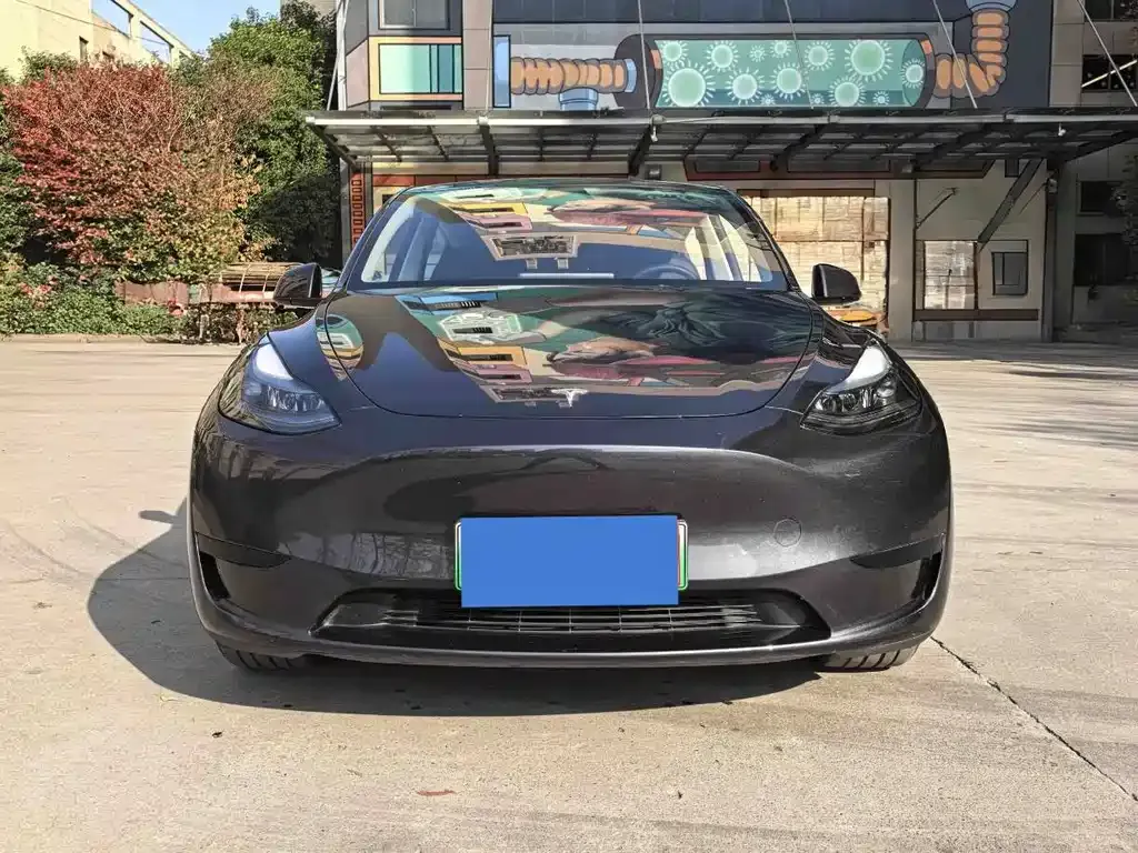 Tesla Model Y — фото 2