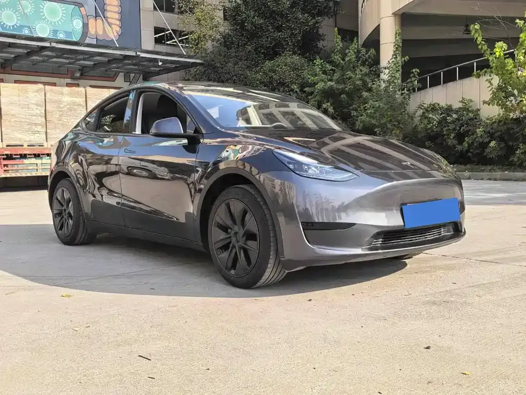 Tesla Model Y — фото 5