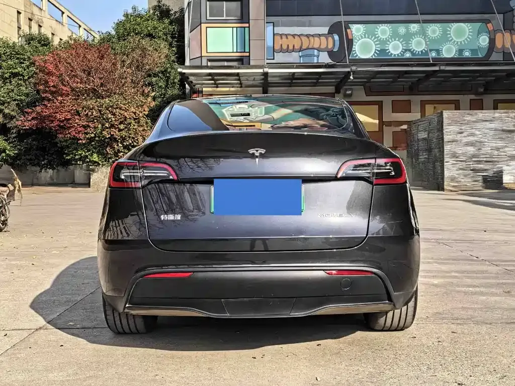 Tesla Model Y — фото 6