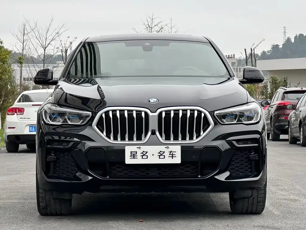 BMW X6 2024 из CN, фото 2