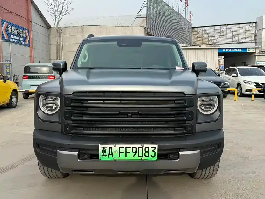 Haval Menglong New Energy 2024 из CN, фото 4