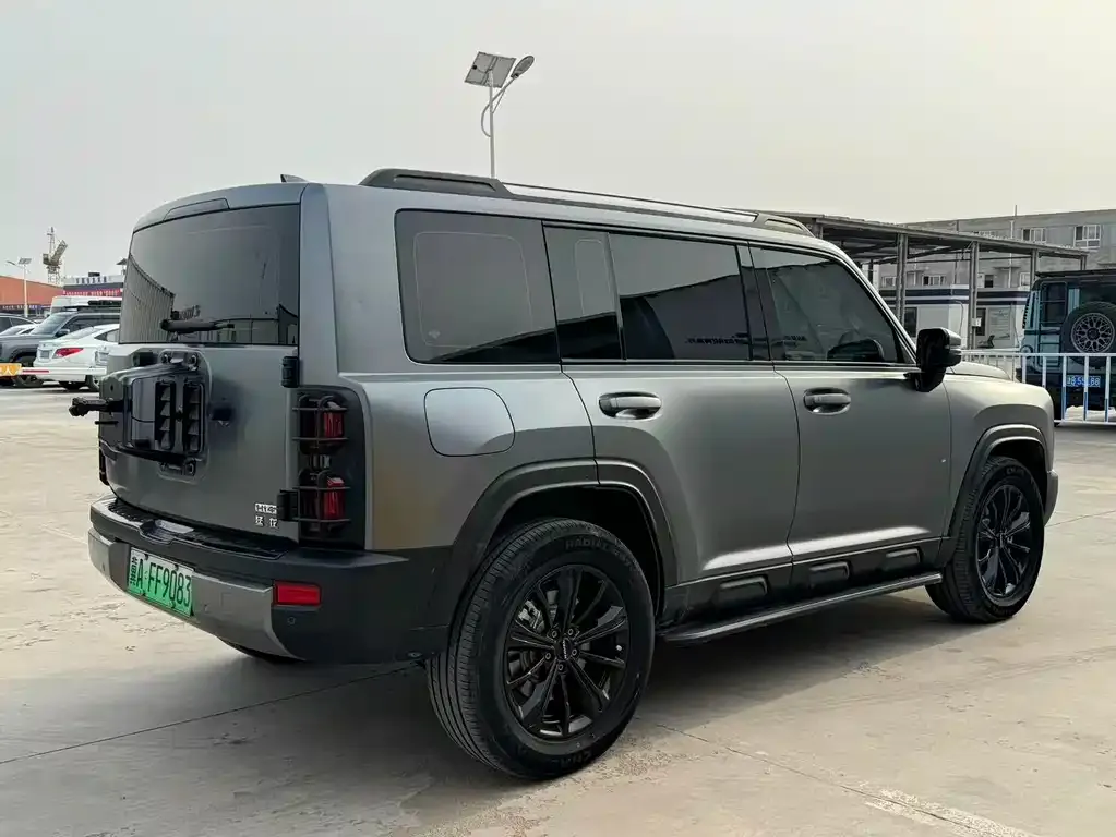 Haval Menglong New Energy 2024 из CN, фото 2