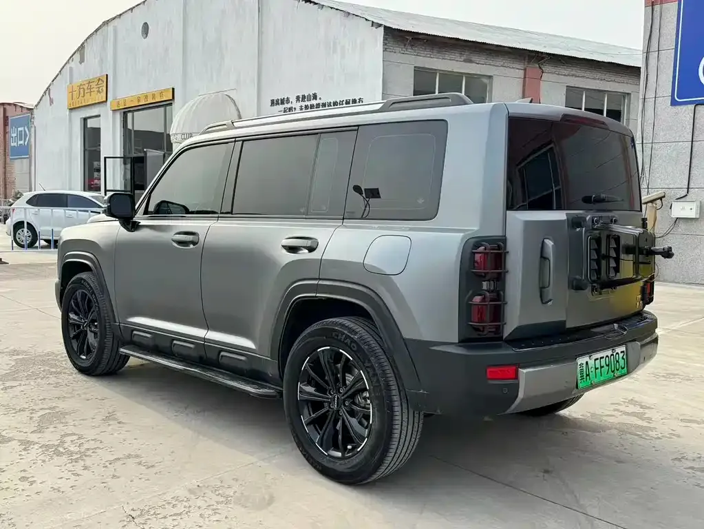 Haval Menglong New Energy 2024 из CN, фото 6