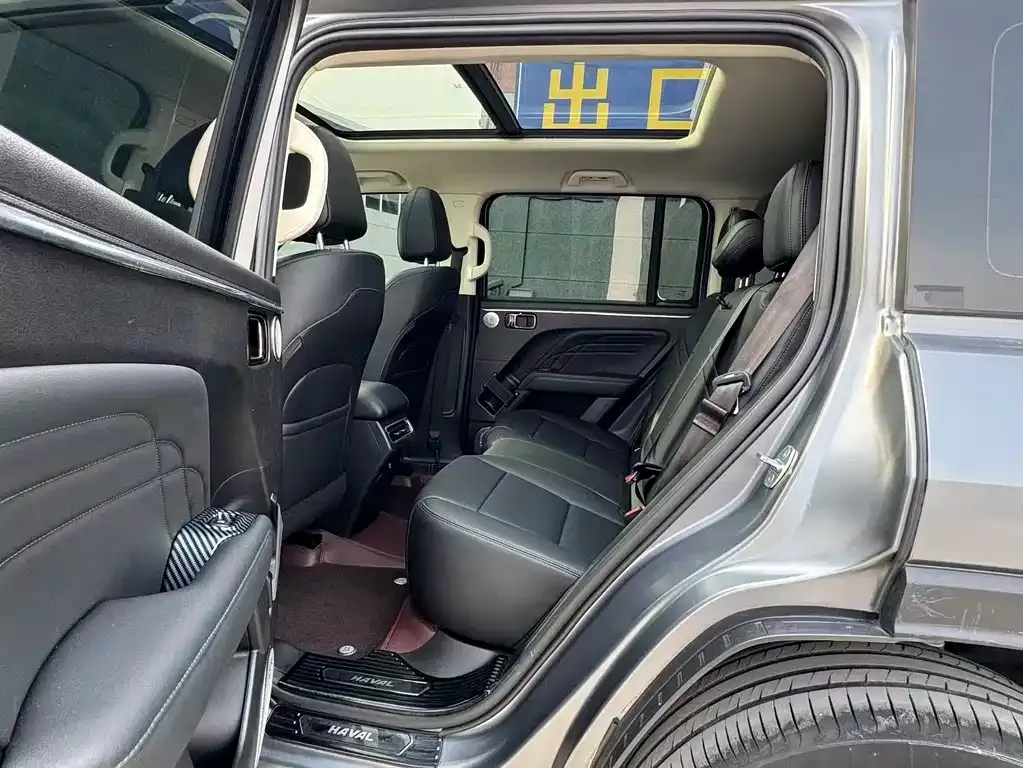 Haval Menglong New Energy 2024 из CN, фото 9