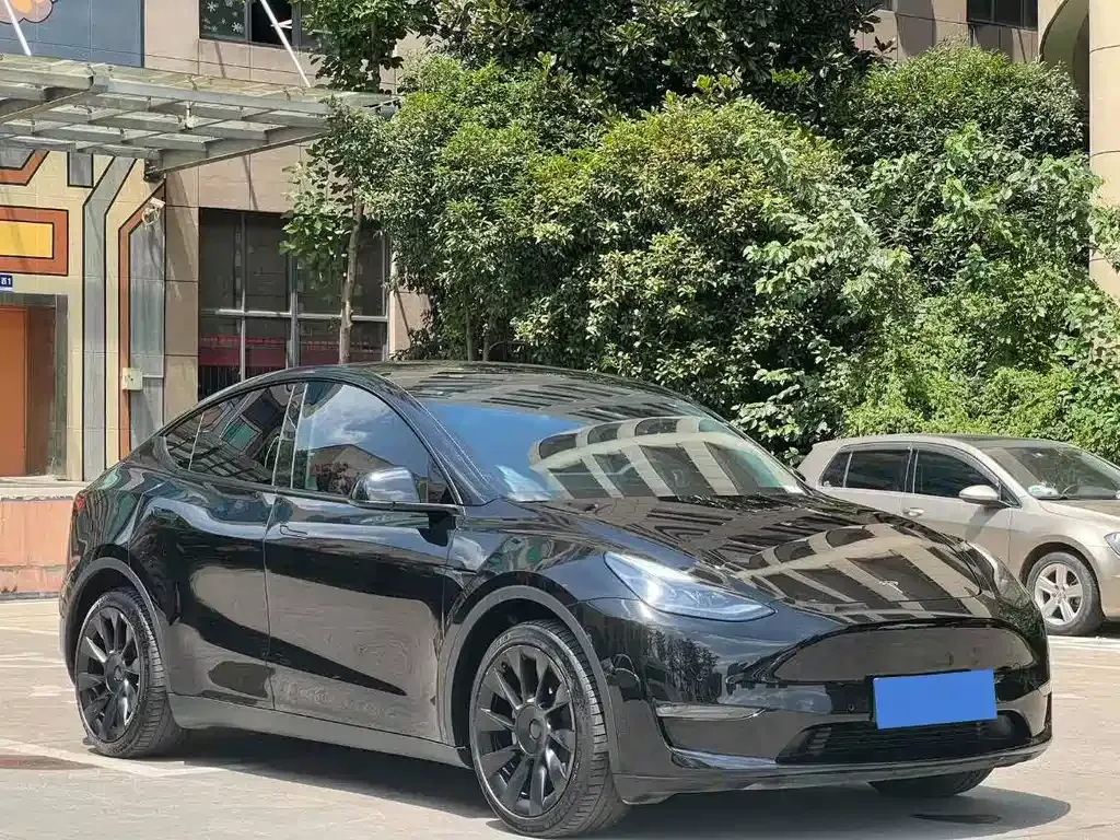 Tesla Model Y 2021 из CN, фото 6