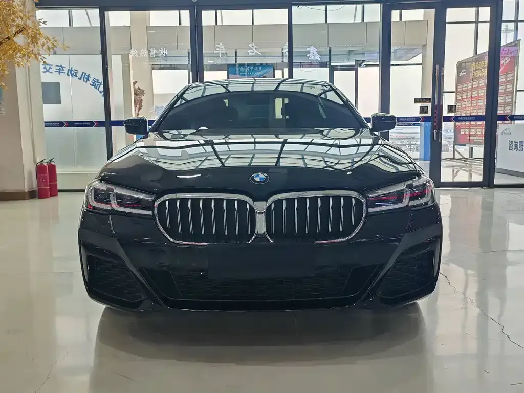 BMW 5 Series 2021 из CN, фото 5