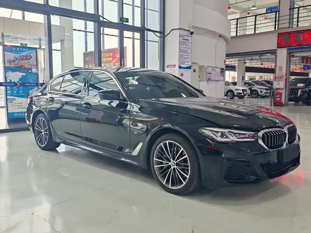 BMW 5 Series 2021 из CN, фото 7