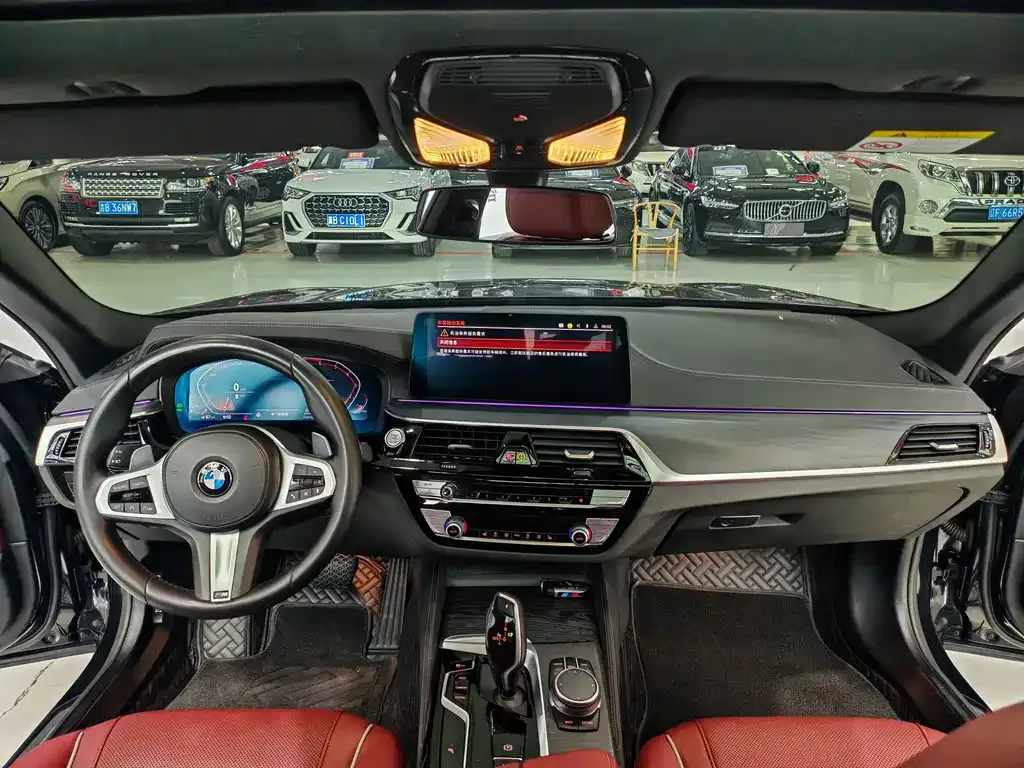 BMW 5 Series 2021 из CN, фото 9