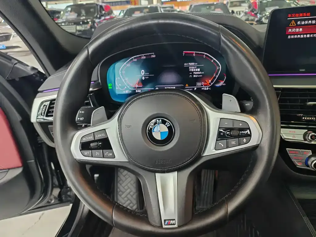 BMW 5 Series 2021 из CN, фото 6