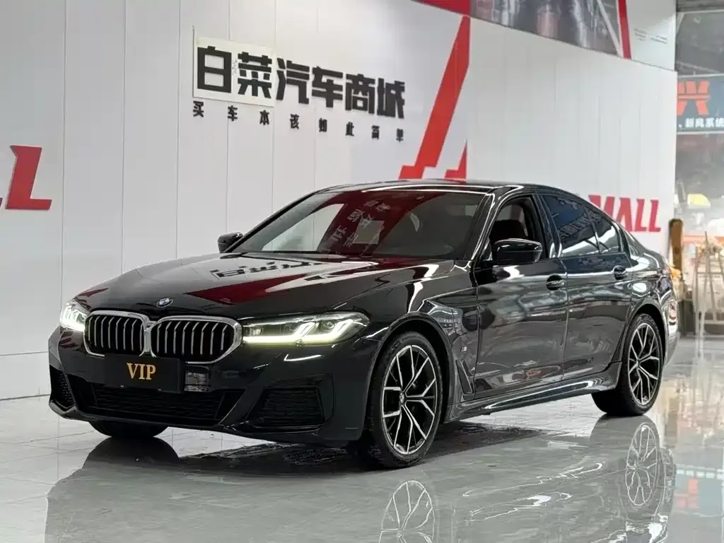 BMW 5 Series (Import) 2022 из CN, фото 1