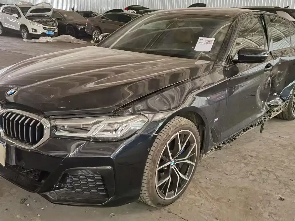 BMW 5 Series (Import) 2022 из CN, фото 7