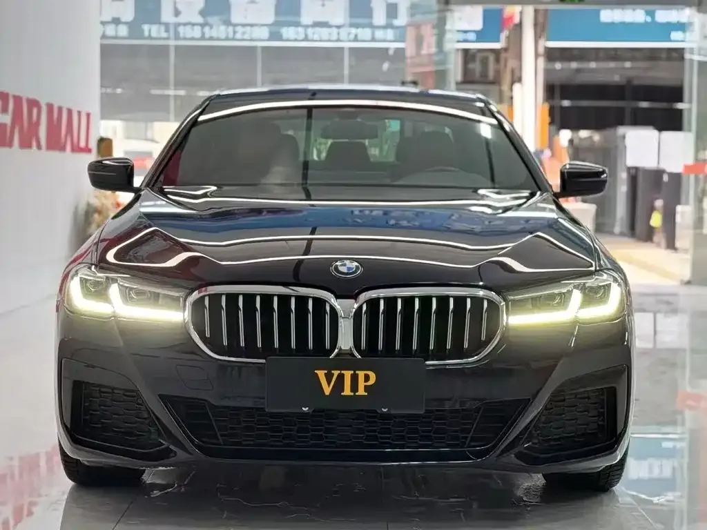 BMW 5 Series (Import) 2022 из CN, фото 6