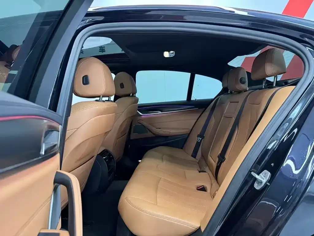 BMW 5 Series (Import) 2022 из CN, фото 9