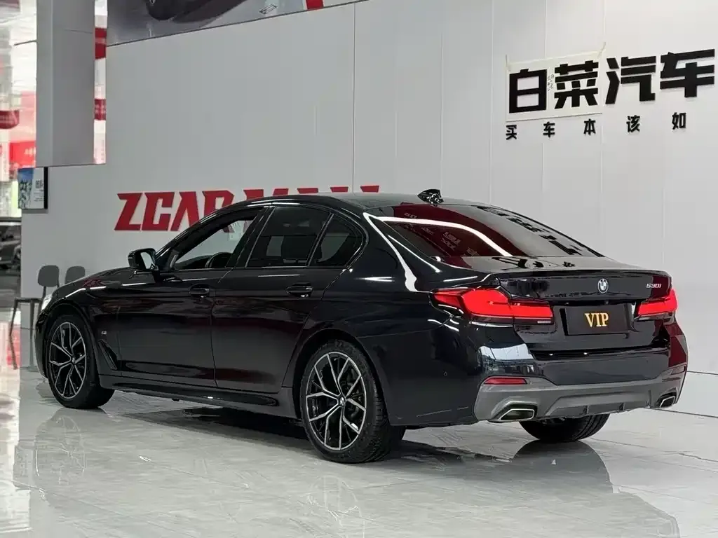 BMW 5 Series (Import) 2022 из CN, фото 10