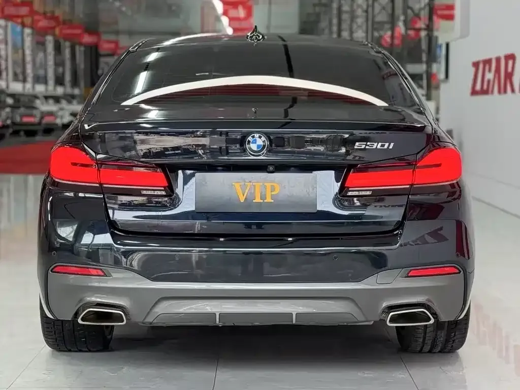 BMW 5 Series (Import) 2022 из CN, фото 5
