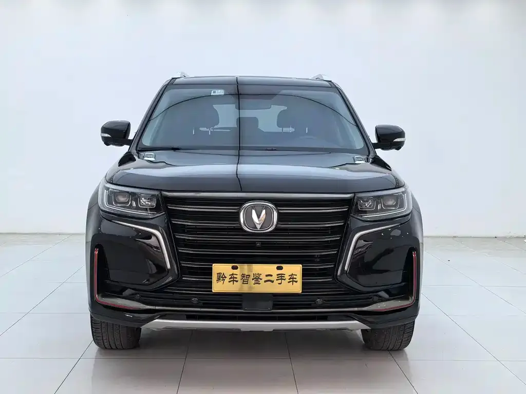 Changan CS95 2021 из CN, фото 9