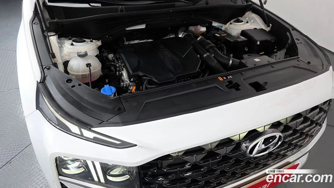 Hyundai Santafe 2021 из KR, фото 4
