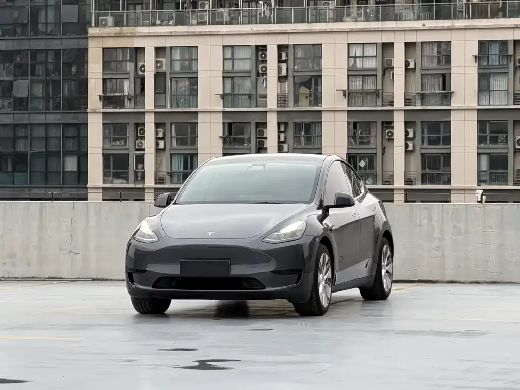 Tesla Model Y — фото 1