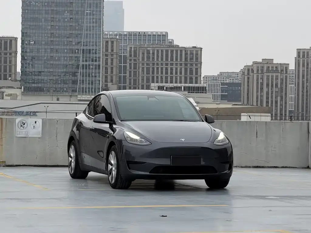 Tesla Model Y — фото 2