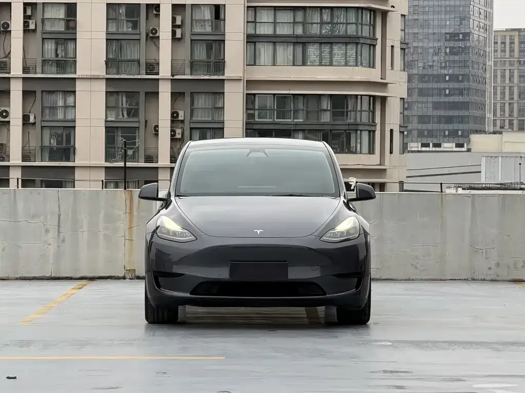 Tesla Model Y — фото 5