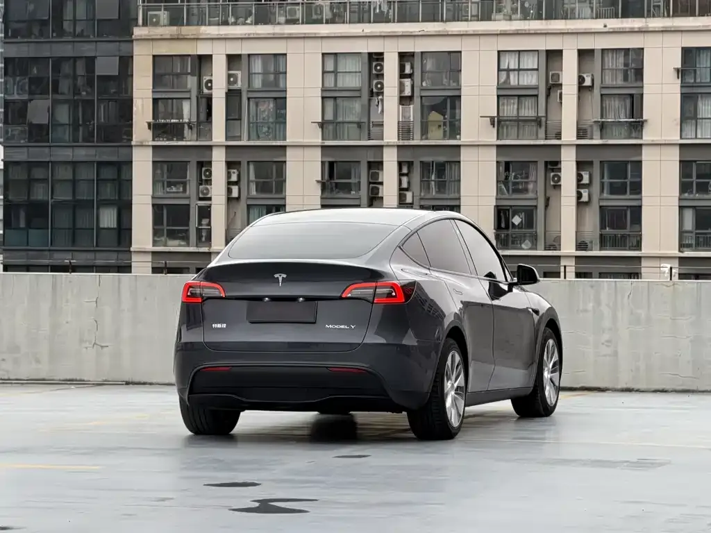 Tesla Model Y — фото 4