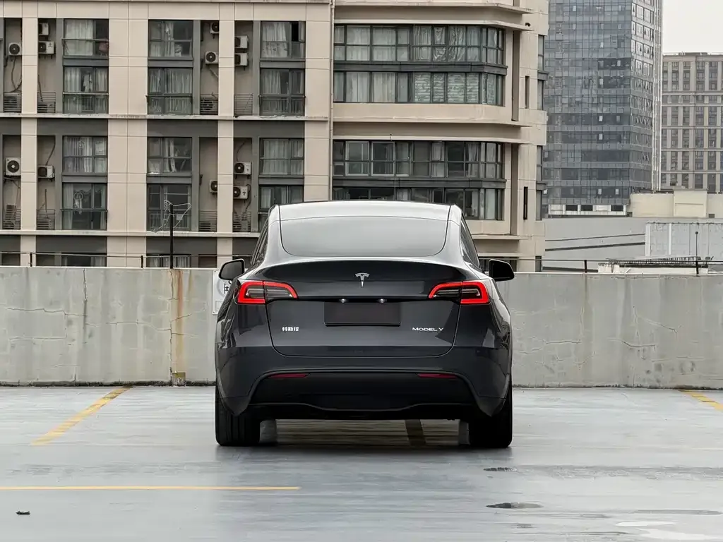 Tesla Model Y — фото 3