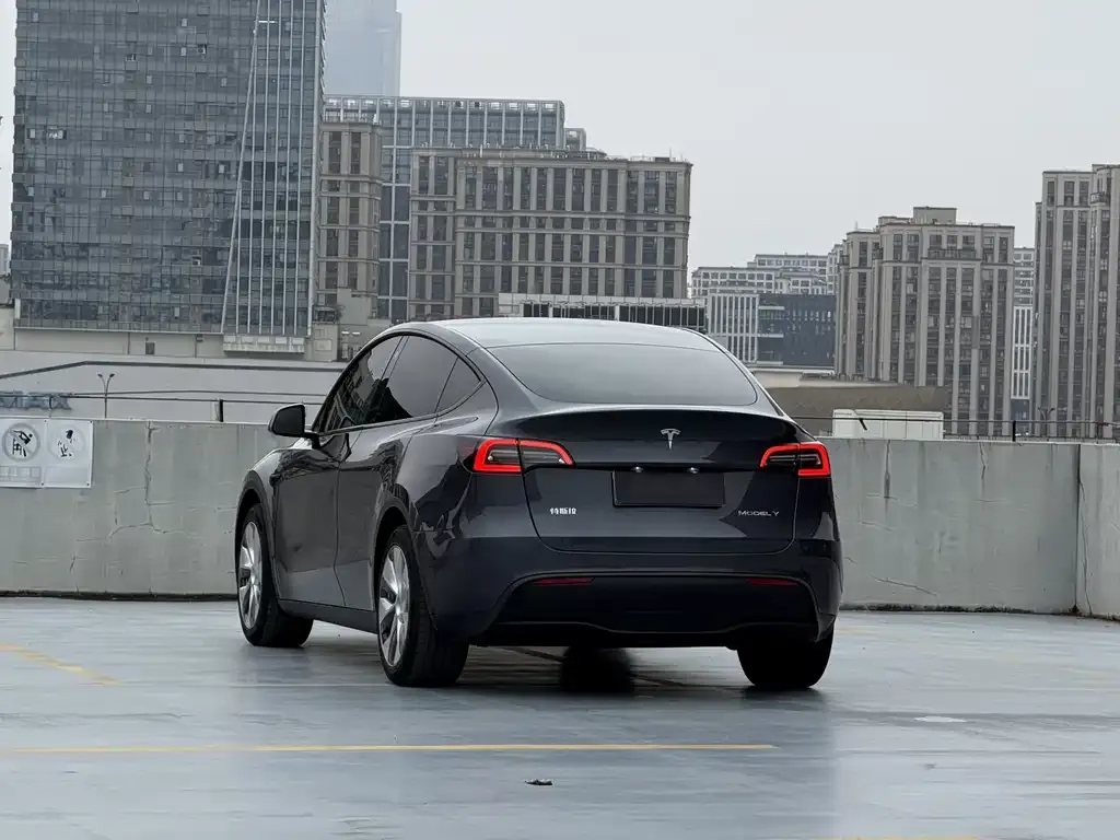 Tesla Model Y — фото 10