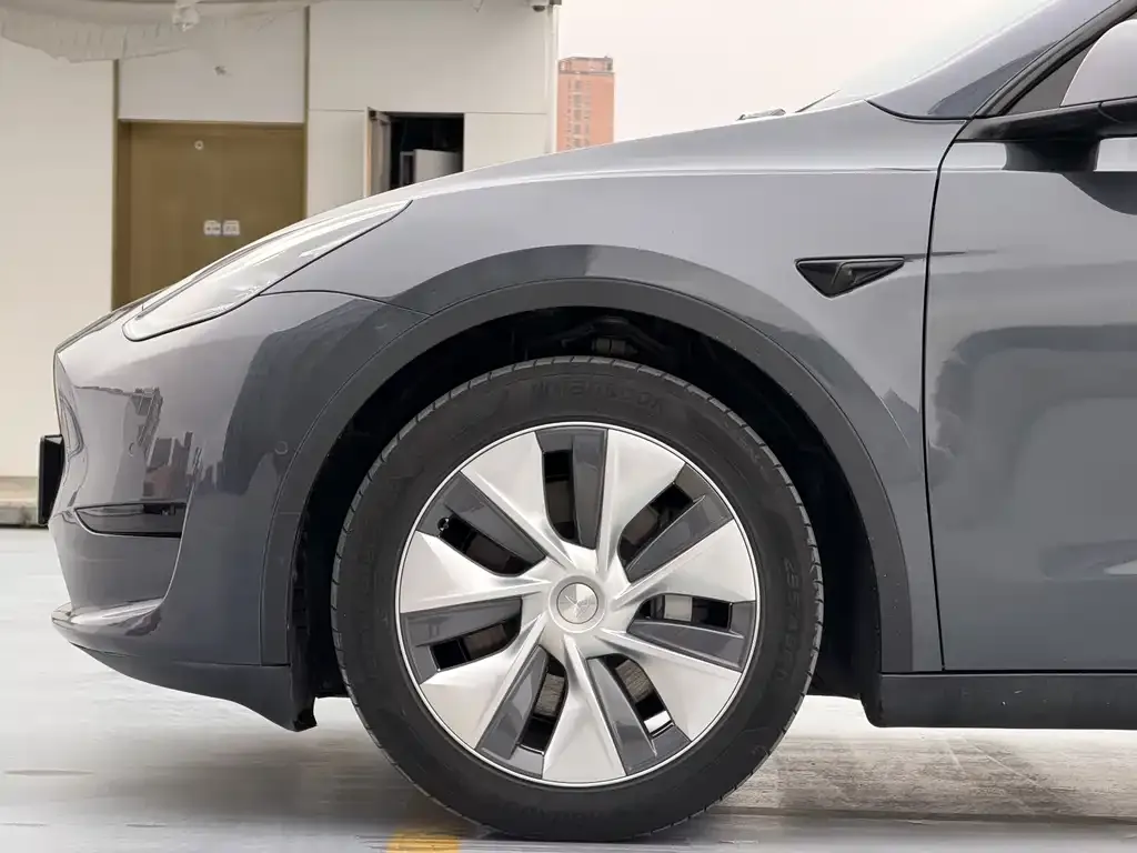 Tesla Model Y — фото 8
