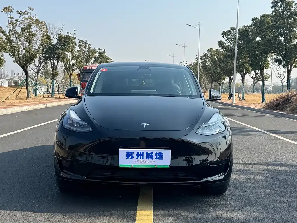 Tesla Model Y 2023 из CN, фото 1