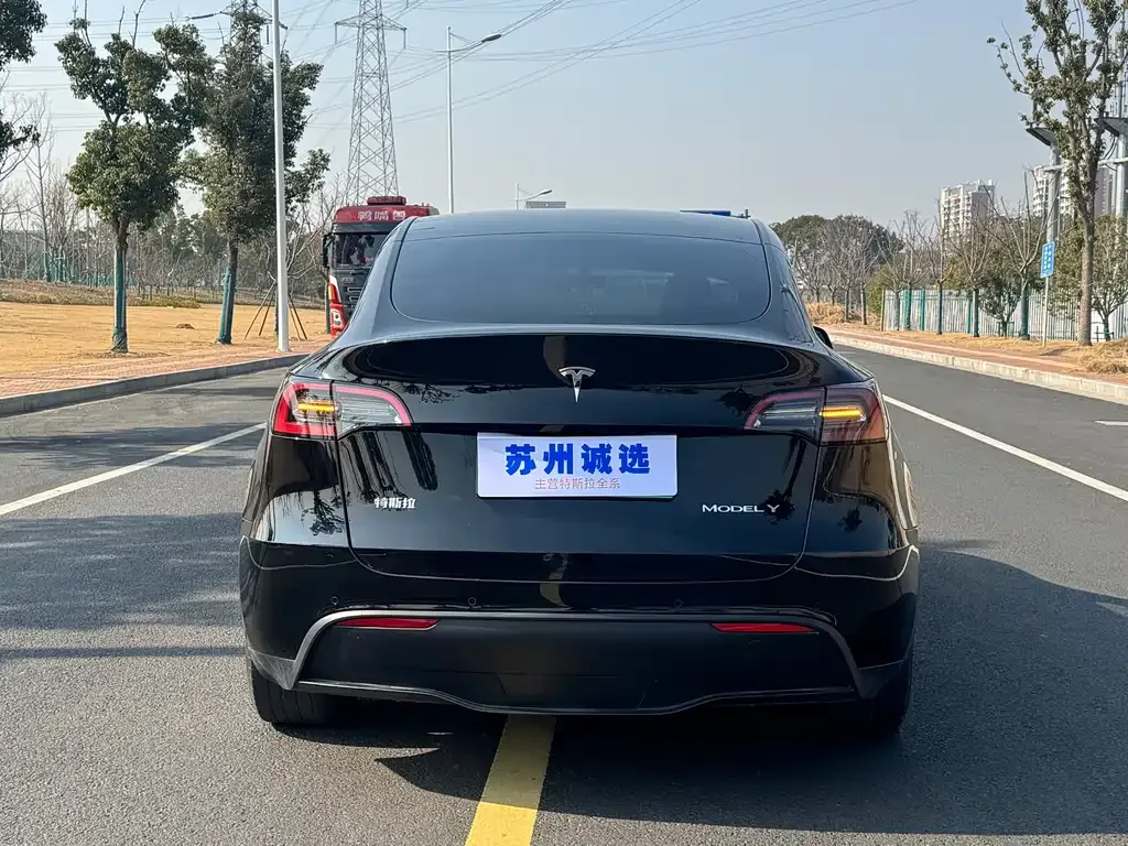 Tesla Model Y 2023 из CN, фото 10