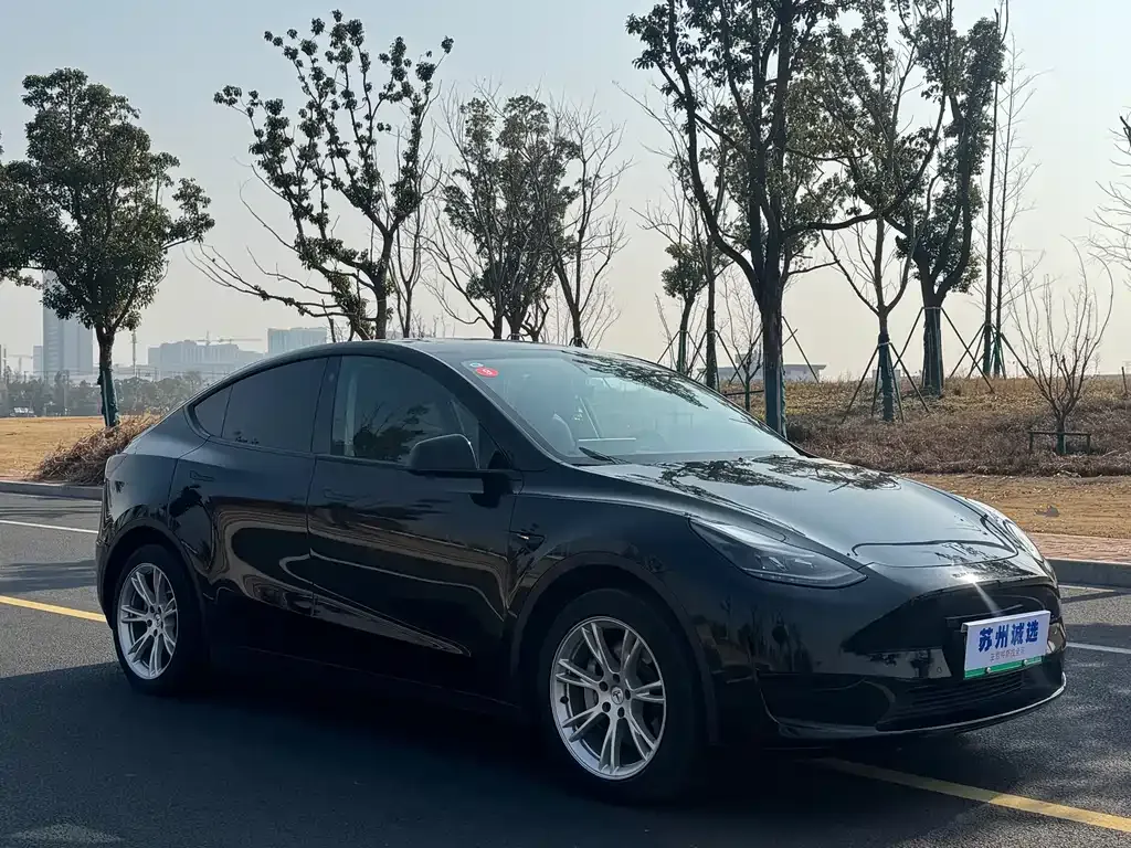 Tesla Model Y 2023 из CN, фото 7