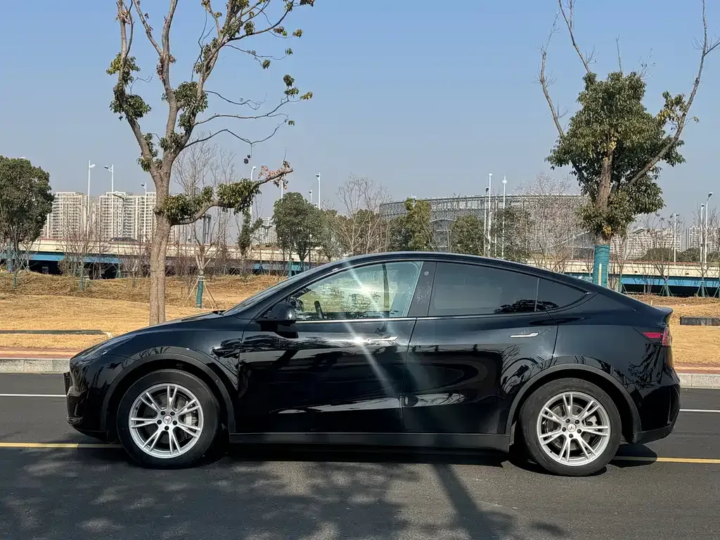 Tesla Model Y 2023 из CN, фото 9
