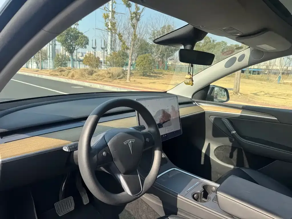 Tesla Model Y 2023 из CN, фото 4