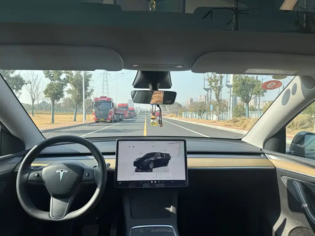 Tesla Model Y 2023 из CN, фото 5
