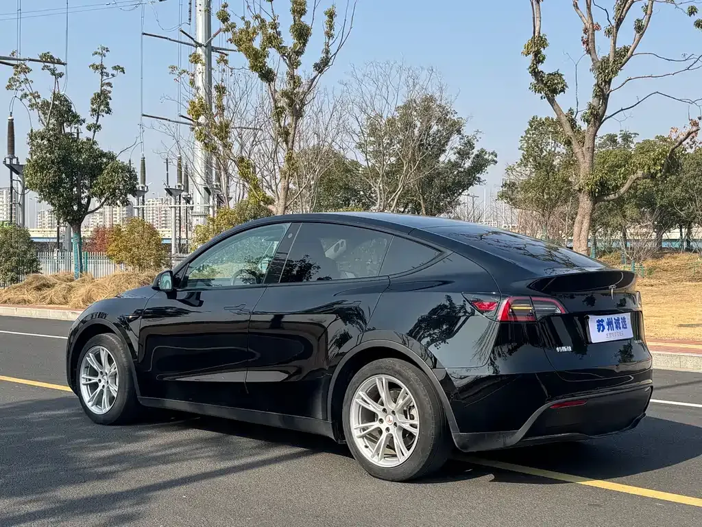 Tesla Model Y 2023 из CN, фото 8