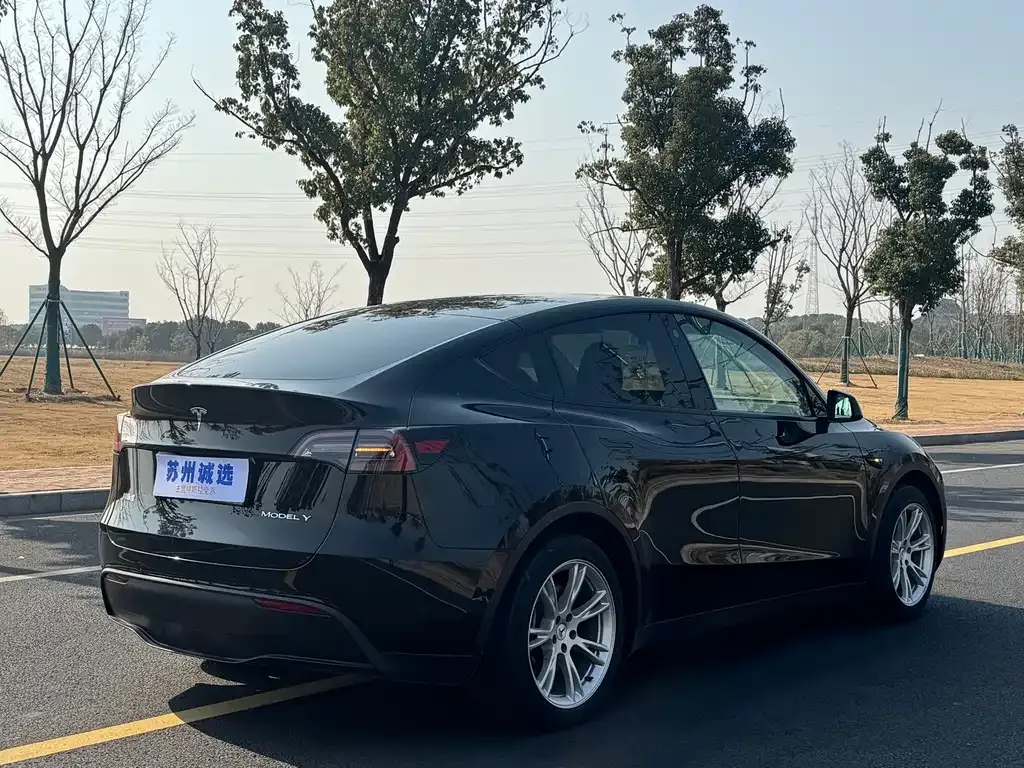 Tesla Model Y 2023 из CN, фото 6