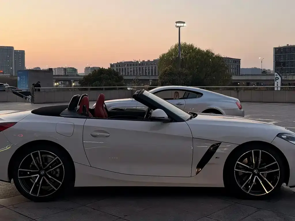 BMW Z4 — фото 6