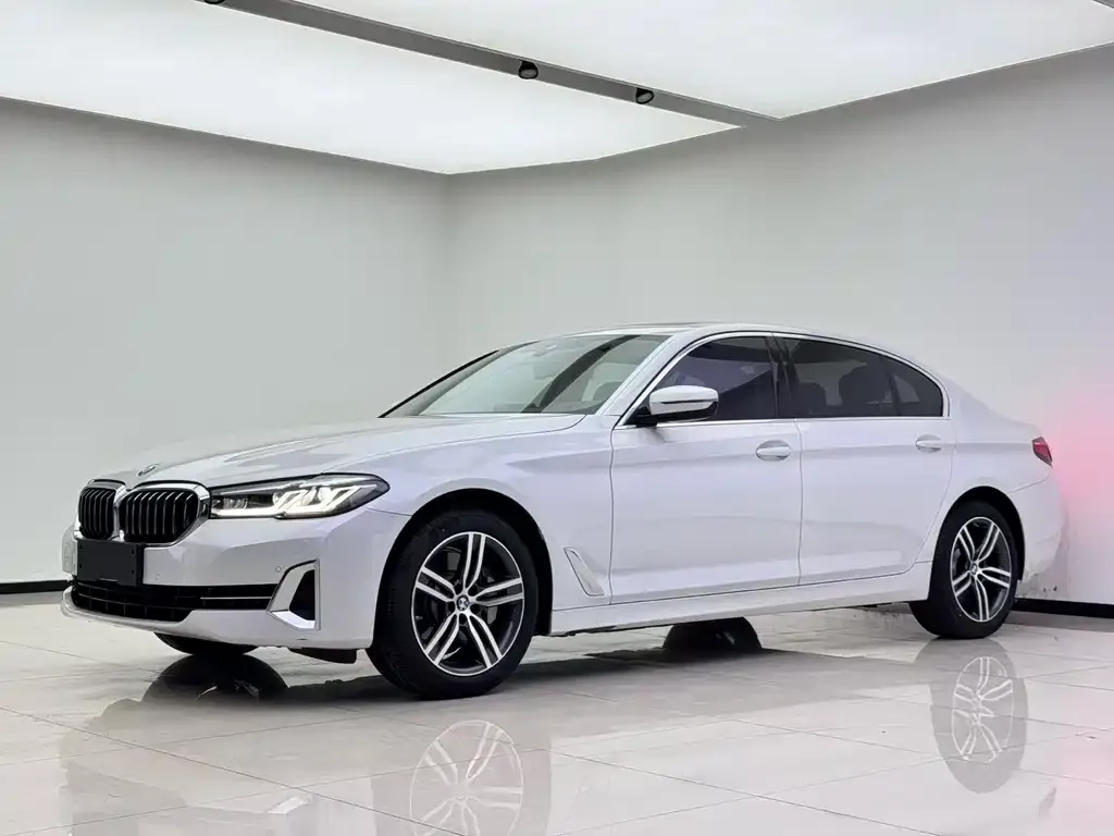 BMW 5 Series 2022 из CN, фото 1