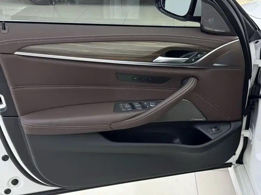 BMW 5 Series 2022 из CN, фото 5