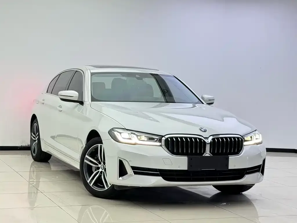 BMW 5 Series 2022 из CN, фото 7