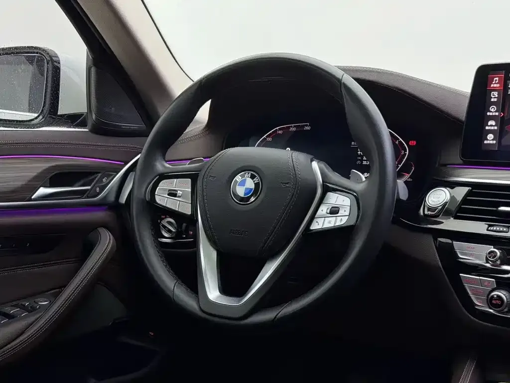 BMW 5 Series 2022 из CN, фото 6